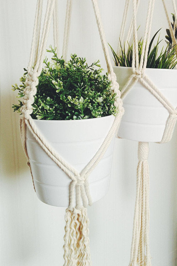 Macrame Plant Hanger