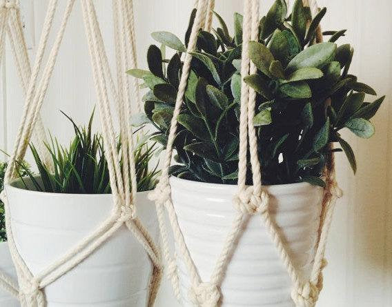 Macrame Plant Hanger